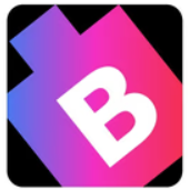 BitsWits.co