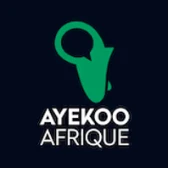 AyekooAfrique.com logo