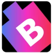 BitsWits.co logo