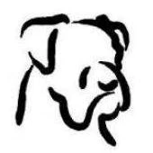 Boxivet.hu logo