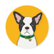 CBD Dog Health logo