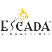 Escadaviragkuldes.hu