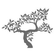 Mindful Living Centre
