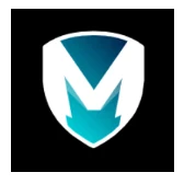 MythicBoost.com logo