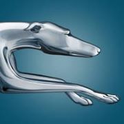 GreyHound.com