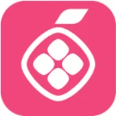 Pomelo.com logo