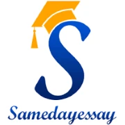 SameDayEssay.com logo