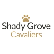 Shady Grove Cavaliers logo