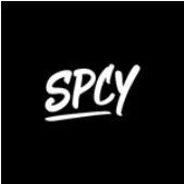 Spicyice.com logo