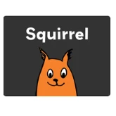 Squirrel Internet logo