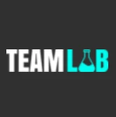 Teamlab.hu logo