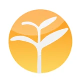 YoyoChinese.com logo